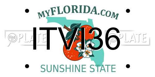 ITVI36 Florida License Plate
