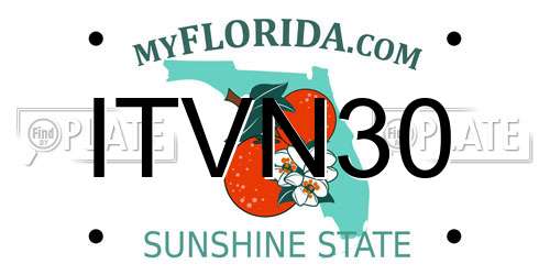 ITVN30 Florida License Plate