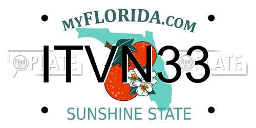 ITVN33 Florida License Plate