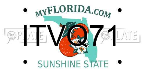ITVQ71 Florida License Plate
