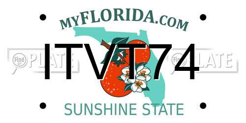 ITVT74 Florida License Plate