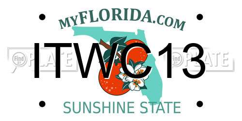 ITWC13 Florida License Plate