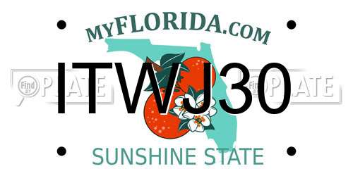 ITWJ30 Florida License Plate