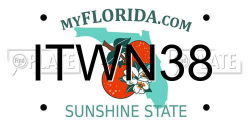 ITWN38 Florida License Plate