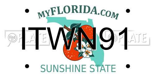 ITWN91 Florida License Plate