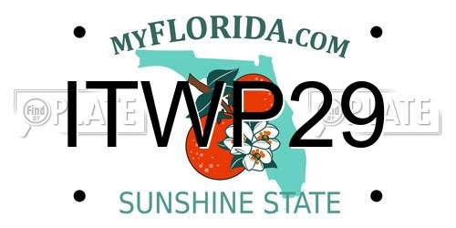 ITWP29 Florida License Plate