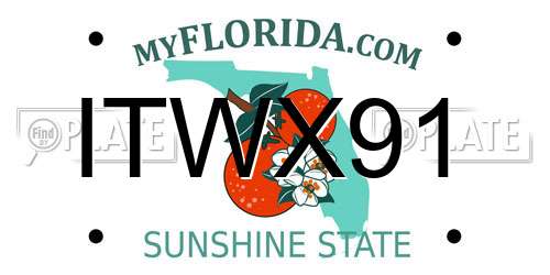 ITWX91 Florida License Plate