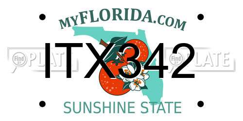 ITX342 Florida License Plate