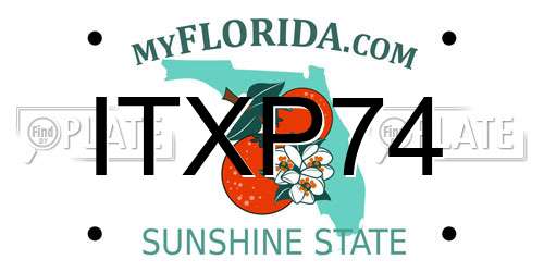 ITXP74 Florida License Plate