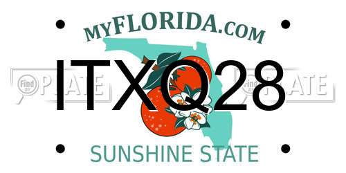 ITXQ28 Florida License Plate
