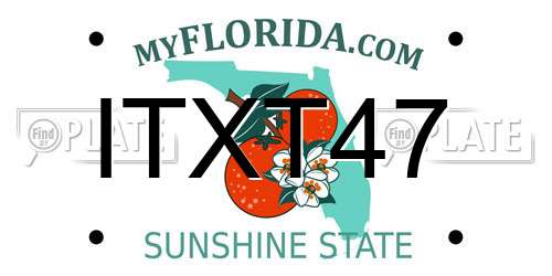 ITXT47 Florida License Plate