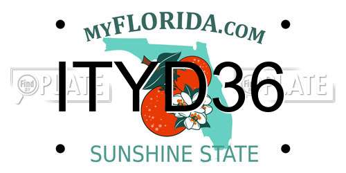 ITYD36 Florida License Plate