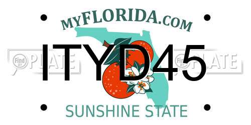 ITYD45 Florida License Plate