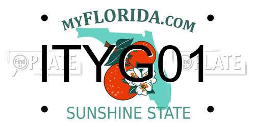 ITYG01 Florida License Plate