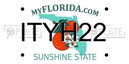 ITYH22 Florida License Plate