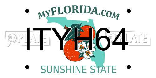 ITYH64 Florida License Plate