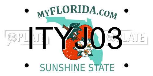 ITYJ03 Florida License Plate