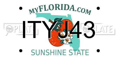 ITYJ43 Florida License Plate