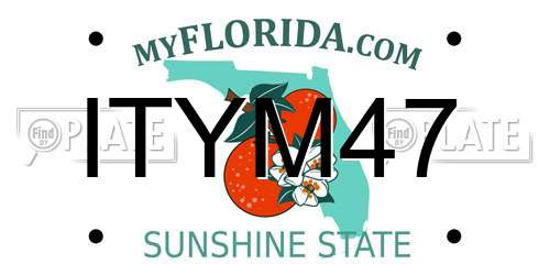 ITYM47 Florida License Plate
