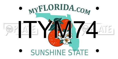 ITYM74 Florida License Plate
