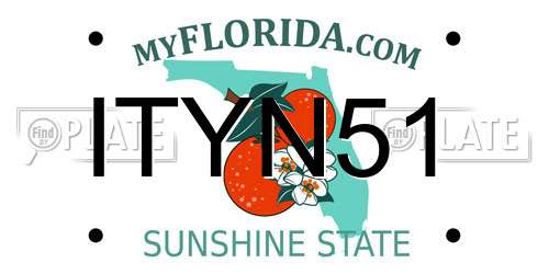 ITYN51 Florida License Plate