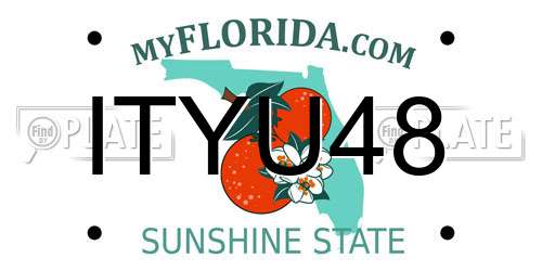 ITYU48 Florida License Plate