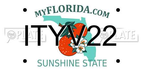 ITYV22 Florida License Plate