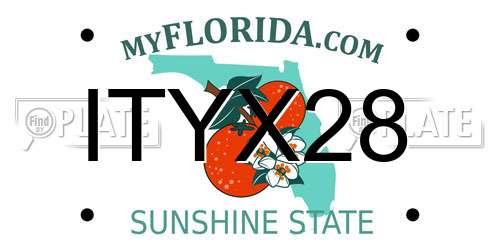 ITYX28 Florida License Plate