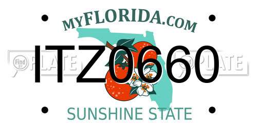 ITZ0660 Florida License Plate