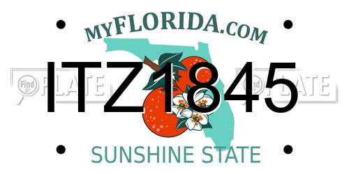 ITZ1845 Florida License Plate