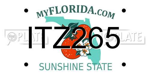 ITZ265 Florida License Plate