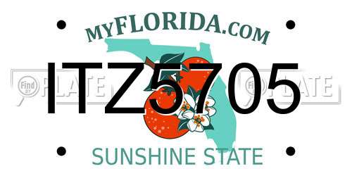 ITZ5705 Florida License Plate