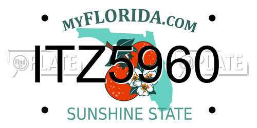 ITZ5960 Florida License Plate