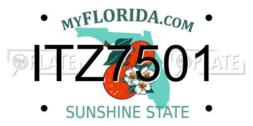ITZ7501 Florida License Plate