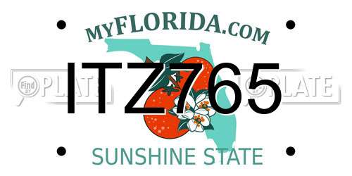 ITZ765 Florida License Plate