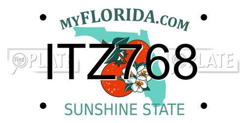 ITZ768 Florida License Plate