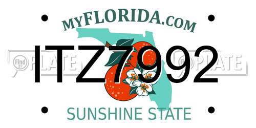 ITZ7992 Florida License Plate