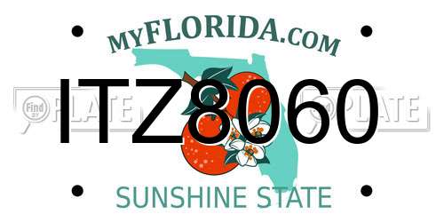 ITZ8060 Florida License Plate