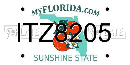 ITZ8205 Florida License Plate