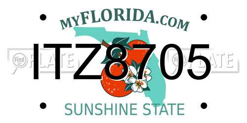 ITZ8705 Florida License Plate