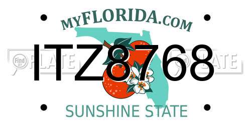 ITZ8768 Florida License Plate