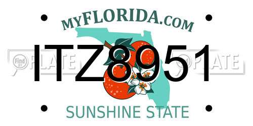 ITZ8951 Florida License Plate