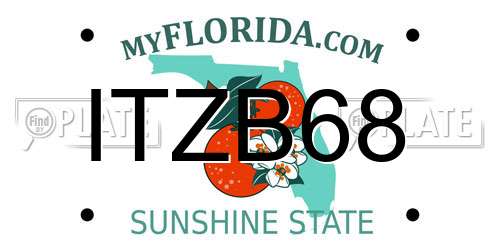 ITZB68 Florida License Plate