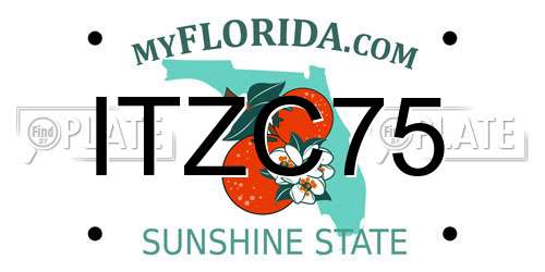ITZC75 Florida License Plate