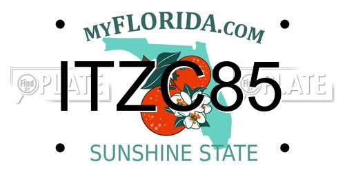 ITZC85 Florida License Plate