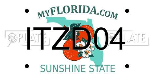 ITZD04 Florida License Plate