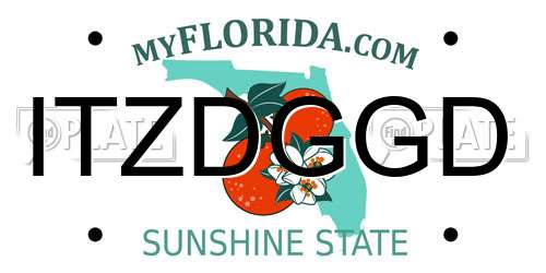 ITZDGGD Florida License Plate