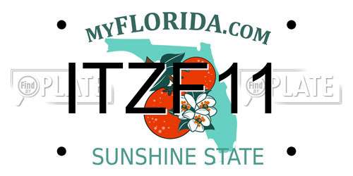 ITZF11 Florida License Plate