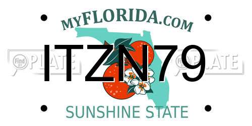ITZN79 Florida License Plate
