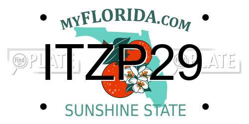 ITZP29 Florida License Plate